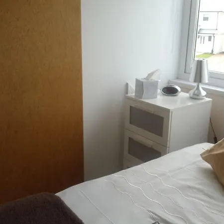 בית הארחה Oasis House פאלמות'